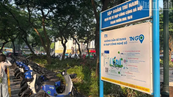 Tin tức